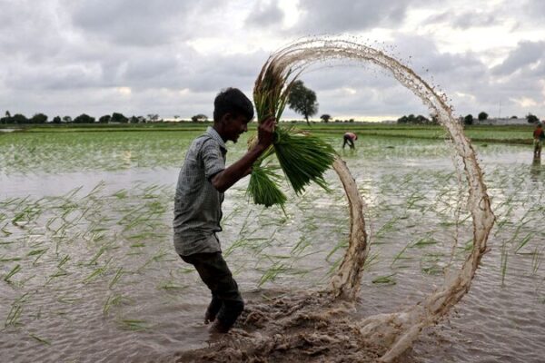 ππ§ Half of Global Food Production at Risk by 2050 Due to Water Crisis: Report ___Half_of_Global_Food_Production_at_Risk_by_2050_Due_to_Water_Crisis__Report
