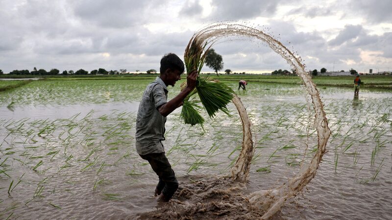 ___Half_of_Global_Food_Production_at_Risk_by_2050_Due_to_Water_Crisis__Report