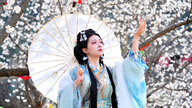Hanfu_Meets_Spring_Blooms__A_Cultural_Revival_in_Full_Flower__