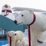 Harbin_Polarpark_Lights_Up_Spring_Festival_with_Spectacular_Performances____