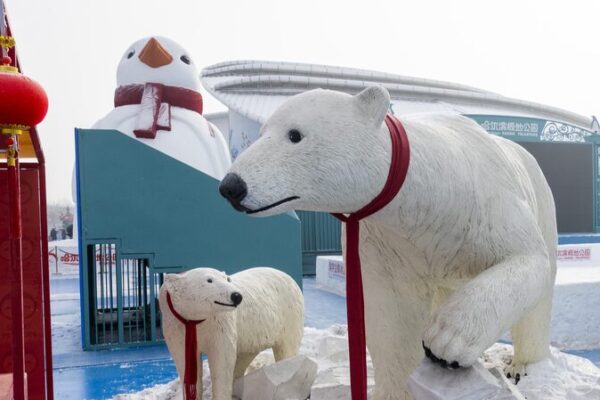 Harbin Polarpark Lights Up Spring Festival with Spectacular Performances ❄️🎉 Harbin_Polarpark_Lights_Up_Spring_Festival_with_Spectacular_Performances____