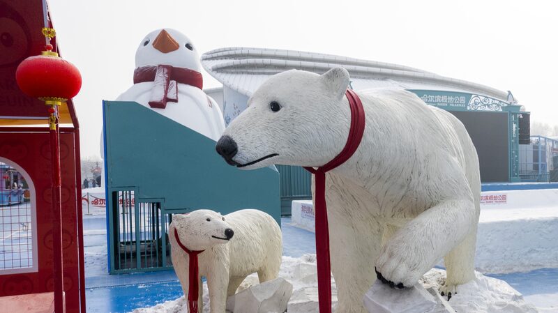 Harbin_Polarpark_Lights_Up_Spring_Festival_with_Spectacular_Performances____ - 🌍NewspaperAmigo – Your Global News Buddy 🗞️ Harbin_Polarpark_Lights_Up_Spring_Festival_with_Spectacular_Performances____