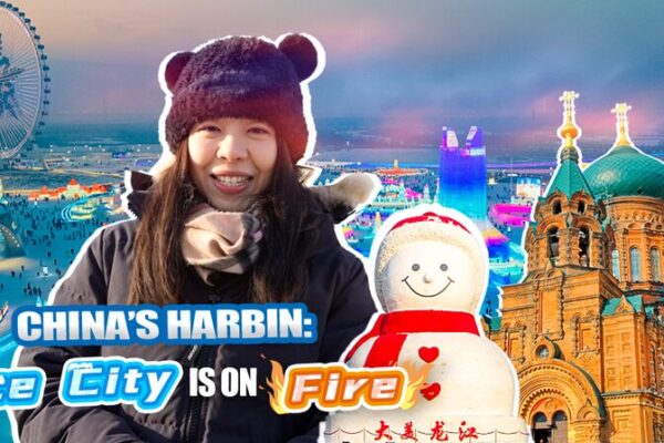 ❄️ Harbin’s Ice Magic Lights Up Northeast China! 🌟 ___Harbin_s_Ice_Magic_Lights_Up_Northeast_China___ video poster