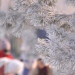 Harbin_s_Winter_Wonderland_Wows_Visitors_with_Ice_Magic____