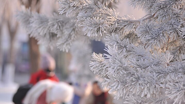 Harbin_s_Winter_Wonderland_Wows_Visitors_with_Ice_Magic____ - 🌍NewspaperAmigo – Your Global News Buddy 🗞️ Harbin_s_Winter_Wonderland_Wows_Visitors_with_Ice_Magic____