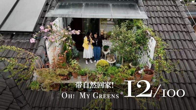 Healing Gardens: Tianyi’s Unique Patio Oasis in Guilin 🪴✨ Healing_Gardens__Tianyi_s_Unique_Patio_Oasis_in_Guilin___ video poster