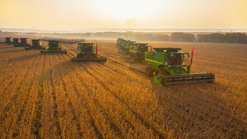 Heilongjiang_s__Soybean_King__Leads_Farming_Revolution___ - 🌍NewspaperAmigo – Your Global News Buddy 🗞️ Heilongjiang_s__Soybean_King__Leads_Farming_Revolution___