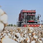 High_Tech_Harvest__Xinjiang_s_Cotton_Fields_Go_Full_Robot_Mode___ video poster