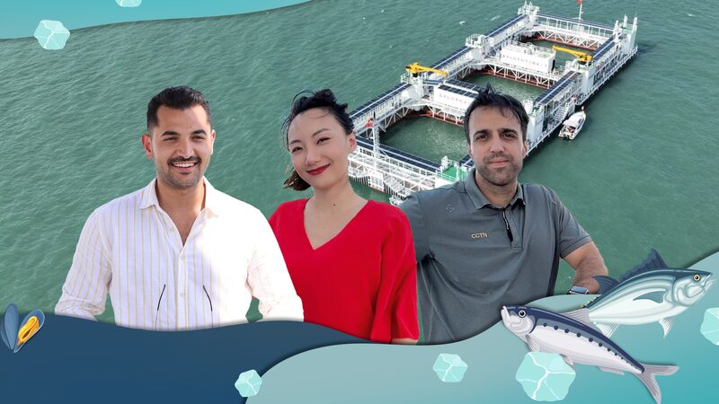 High_Tech__Blue_Farms__Revolutionize_Sustainable_Seafood_in_China__poster - ๐NewspaperAmigo โ Your Global News Buddy ๐๏ธ __High_Tech__Blue_Farms__Revolutionize_Sustainable_Seafood_in_China_ video poster
