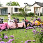 Homestay_Managers_Revive_Rural_Tourism_with_Innovation___