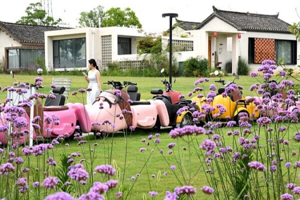 Homestay Managers Revive Rural Tourism with Innovation 🌾✨ Homestay_Managers_Revive_Rural_Tourism_with_Innovation___
