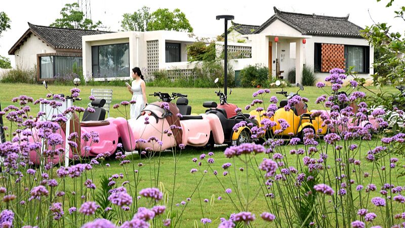 Homestay_Managers_Revive_Rural_Tourism_with_Innovation___ - 🌍NewspaperAmigo – Your Global News Buddy 🗞️ Homestay_Managers_Revive_Rural_Tourism_with_Innovation___