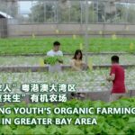 __Hong_Kong_Grads_Grow_Green_Dreams_in_Greater_Bay_Area__ video poster