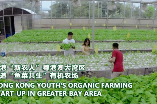 🌱 Hong Kong Grads Grow Green Dreams in Greater Bay Area 🚜 __Hong_Kong_Grads_Grow_Green_Dreams_in_Greater_Bay_Area__ video poster