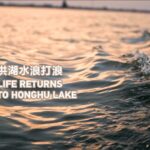 Honghu_Lake_Revival__How_Hubei_s_Eco_Efforts_Are_Bringing_Back_Nature___ video poster