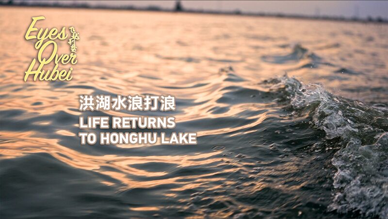 Honghu_Lake_Revival__How_Hubei_s_Eco_Efforts_Are_Bringing_Back_Nature____poster - 🌍NewspaperAmigo – Your Global News Buddy 🗞️ Honghu_Lake_Revival__How_Hubei_s_Eco_Efforts_Are_Bringing_Back_Nature___ video poster
