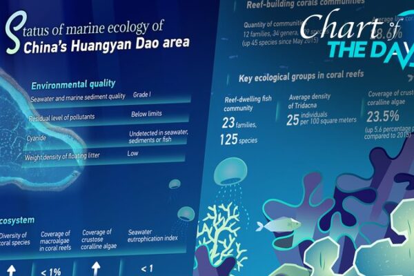 Huangyan Dao Shines: Excellent Environmental Quality Confirmed 🌊🐠 Huangyan_Dao_Shines__Excellent_Environmental_Quality_Confirmed___
