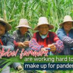 Hubei_Farmers_Double_Efforts_to_Restore_Zongzi_Production_Ahead_of_Dragon_Boat_Festival___