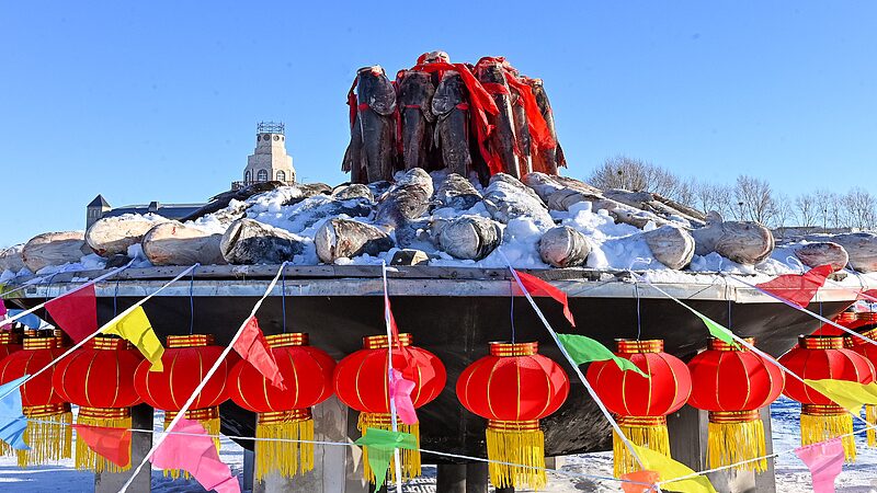 Ice_Fishing_Season_Kicks_Off_in_NE_China_with_Record_Hauls____ video poster
