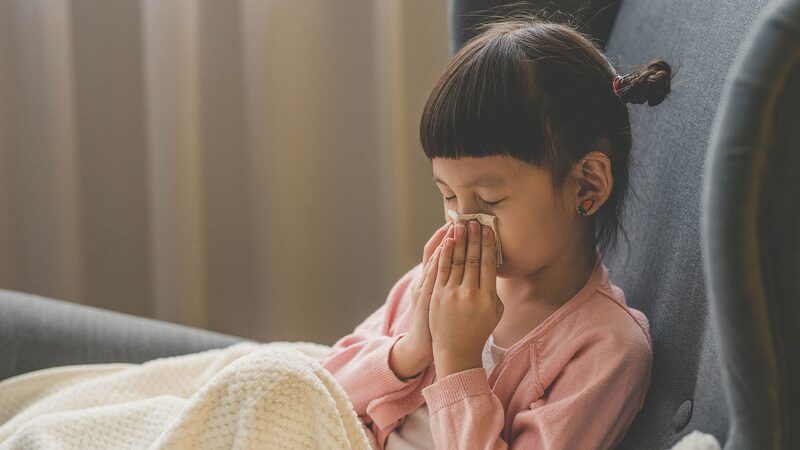 Immune_Cell_Surprise__Key_Culprit_Behind_Chronic_Sinus_Infections_Found__