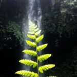 Indonesia_Sets_Stage_for_Climate_Action_with_New_Carbon_Capture_Rules__