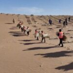 __Inner_Mongolia_Transforms_Deserts_into_Green_Energy_Havens_ video poster