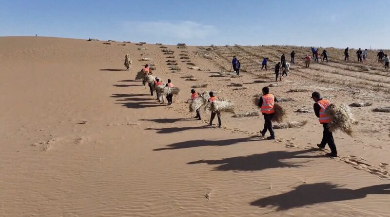 Inner_Mongolia_Transforms_Deserts_into_Green_Energy_Havens__poster - 🌍NewspaperAmigo – Your Global News Buddy 🗞️ __Inner_Mongolia_Transforms_Deserts_into_Green_Energy_Havens_ video poster