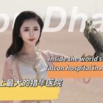 Inside_Abu_Dhabi_s_World_s_Largest_Falcon_Hospital__A_Sanctuary_for_11_000_Falcons__ video poster