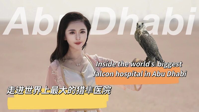 Inside_Abu_Dhabi_s_World_s_Largest_Falcon_Hospital__A_Sanctuary_for_11_000_Falcons___poster - 🌍NewspaperAmigo – Your Global News Buddy 🗞️ Inside_Abu_Dhabi_s_World_s_Largest_Falcon_Hospital__A_Sanctuary_for_11_000_Falcons__ video poster