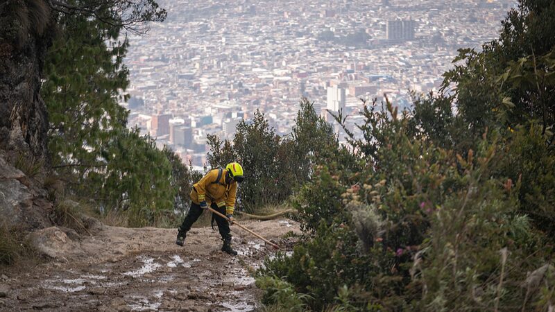 Invasive_Plants_Fuel_Bogota__Wildfires__What_You_Need_to_Know__ - 🌍NewspaperAmigo – Your Global News Buddy 🗞️ __Invasive_Plants_Fuel_Bogota__Wildfires__What_You_Need_to_Know__