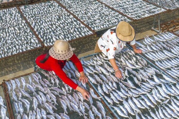 Jiangsu_Fishermen_Turn_Sunshine_into_Savory_Tradition____