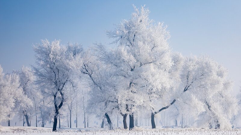 Jilin_s_Winter_Magic__Rime_Wonderland_Dazzles_Visitors____