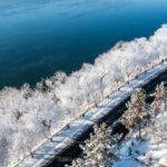 Jilin_s_Winter_Magic___First_Snowfall_Brings_Stunning_Soft_Rime_Wonderland
