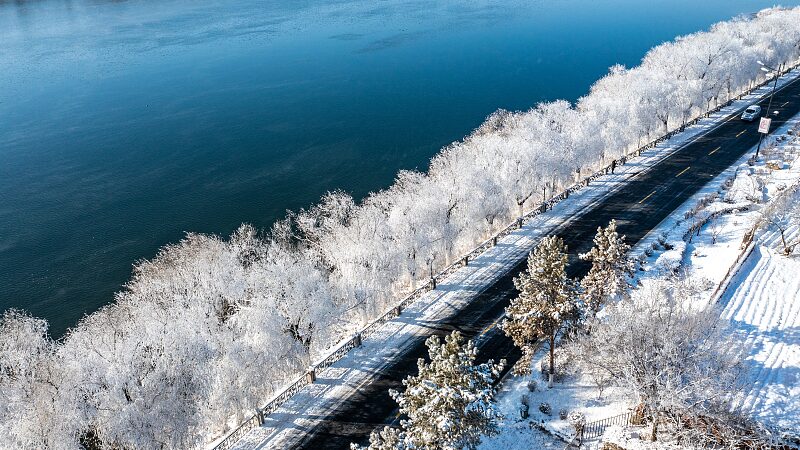 Jilin_s_Winter_Magic___First_Snowfall_Brings_Stunning_Soft_Rime_Wonderland