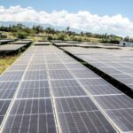 Kenya_Launches_Carbon_Market_to_Boost_Green_Initiatives___
