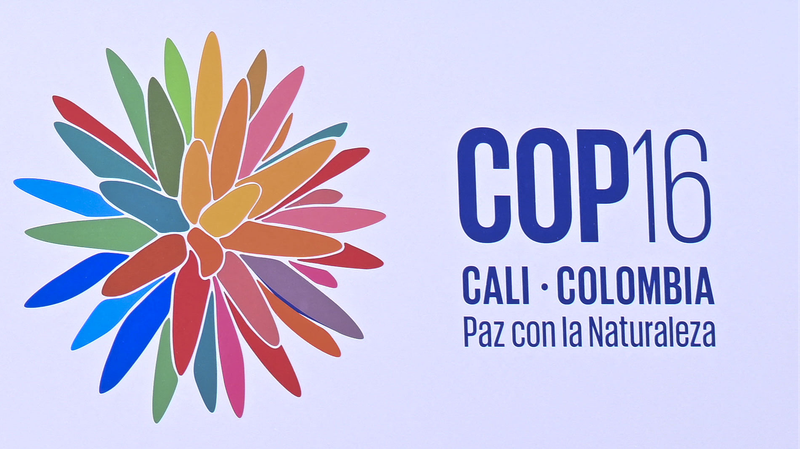 Kunming_Biodiversity_Fund_Greenlights_9_Projects_at_COP16___ - 🌍NewspaperAmigo – Your Global News Buddy 🗞️ Kunming_Biodiversity_Fund_Greenlights_9_Projects_at_COP16___