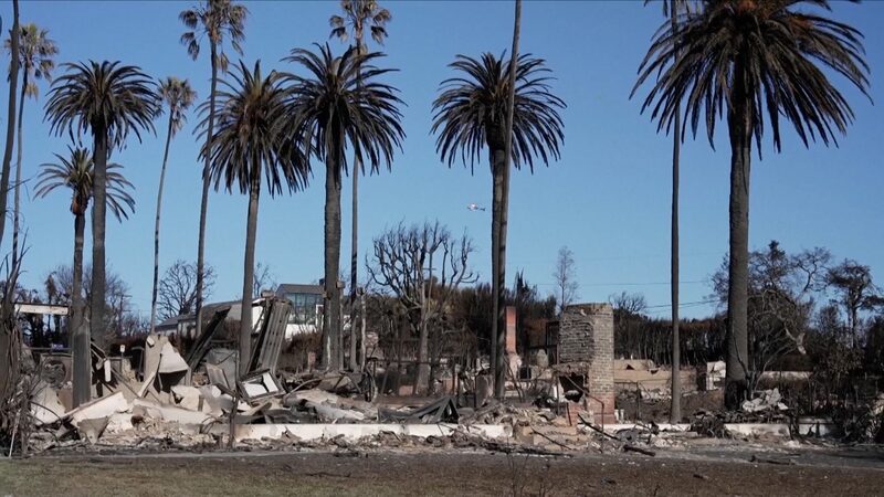 LA_Wildfires__Private_Firefighters_Protect_Affluent_Areas_Amid_Social_Outrage_poster - 🌍NewspaperAmigo – Your Global News Buddy 🗞️ __LA_Wildfires__Private_Firefighters_Protect_Affluent_Areas_Amid_Social_Outrage video poster