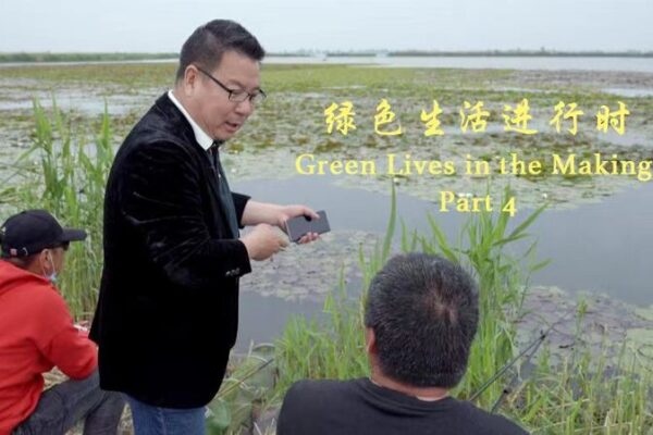 Lake Baiyangdian Revives: A Freshwater Success Story 🌊💚 Lake_Baiyangdian_Revives__A_Freshwater_Success_Story___ video poster