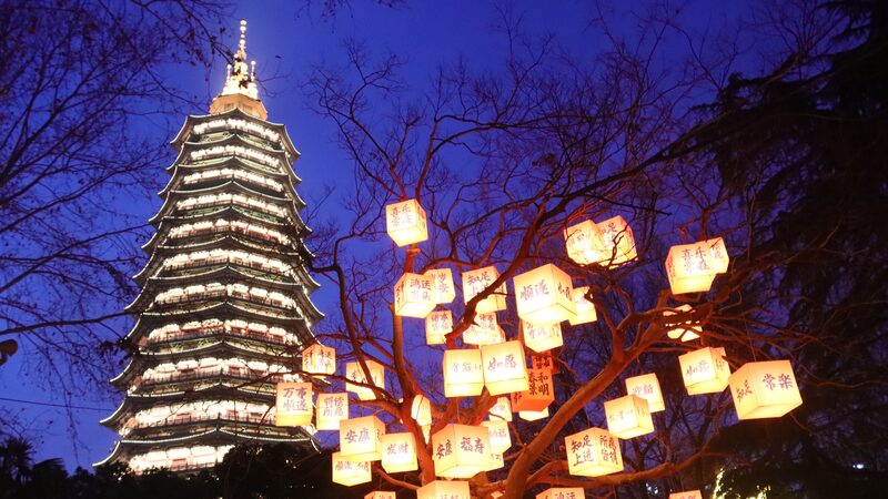 Lantern__Blessing_Trees__Illuminate_Changzhou_Park___
