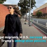 _____Legal_Immigrants_Fear_Uncertain_Future_Under_Trump_s_Policies___ video poster