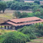 __Liangzhu_Ruins_Go_Digital__Unlocking_5_000_Years_of_Chinese_History__ video poster