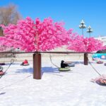 ___Live_from_Beijing__Taoranting_Ice___Snow_Carnival_Lights_Up_Winter_