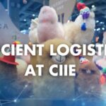 Logistics_Magic_Behind_Shanghai_s_Mega_Import_Expo___ video poster
