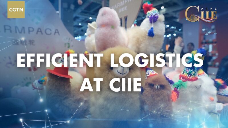 Logistics_Magic_Behind_Shanghai_s_Mega_Import_Expo___ video poster