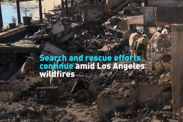 Los Angeles Wildfires Rage On: Search and Rescue Efforts Intensify ๐ฅ๐ Los_Angeles_Wildfires_Rage_On__Search_and_Rescue_Efforts_Intensify___ video poster
