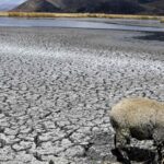 __MDBs_Under_Pressure__Can_Global_Banks_Bridge_the__2_4T_Climate_Gap_