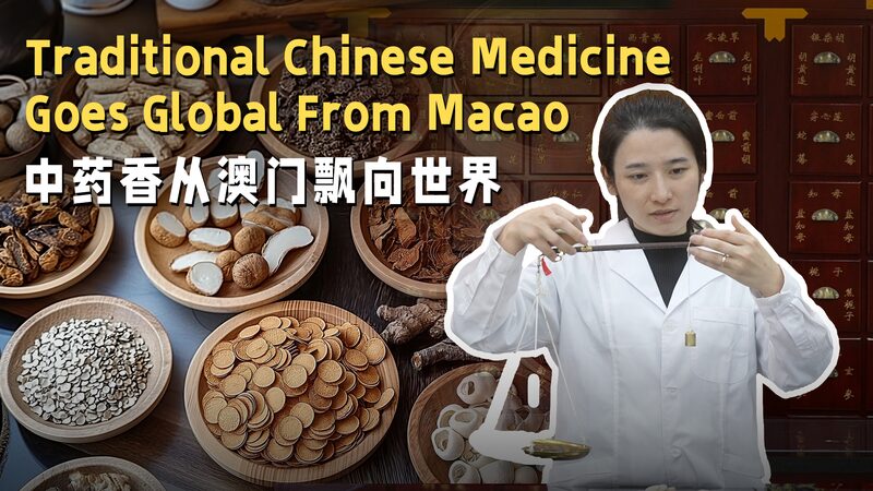 Macao_s_New_Policy_Spurs_Global_Growth_for_Traditional_Chinese_Medicine___ video poster