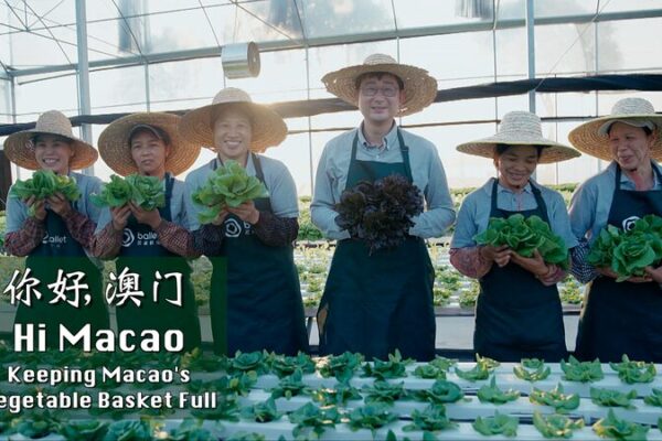 🍅 Macao’s Veggie Boom: How Guangdong’s Tech Fuels Fresh Markets __Macao_s_Veggie_Boom__How_Guangdong_s_Tech_Fuels_Fresh_Markets video poster