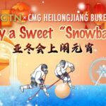 Magical_Lantern_Festival_Lights_Up_Asian_Winter_Games_in_Harbin___ video poster