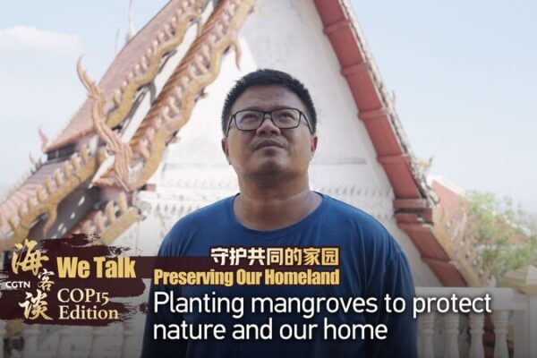 Mangroves vs. Rising Tides: Thai Village Fights Coastal Erosion 🌊🌱 Mangroves_vs__Rising_Tides__Thai_Village_Fights_Coastal_Erosion___ video poster